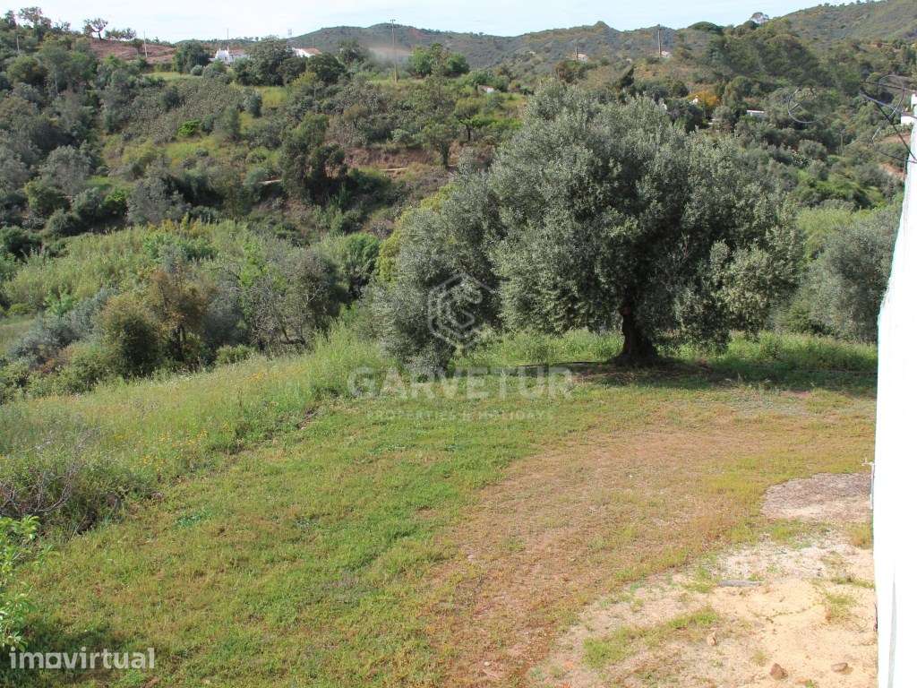 Moradia Tradicional algarvia em Santa Catarina, Algarve - Grande imagem: 3/26