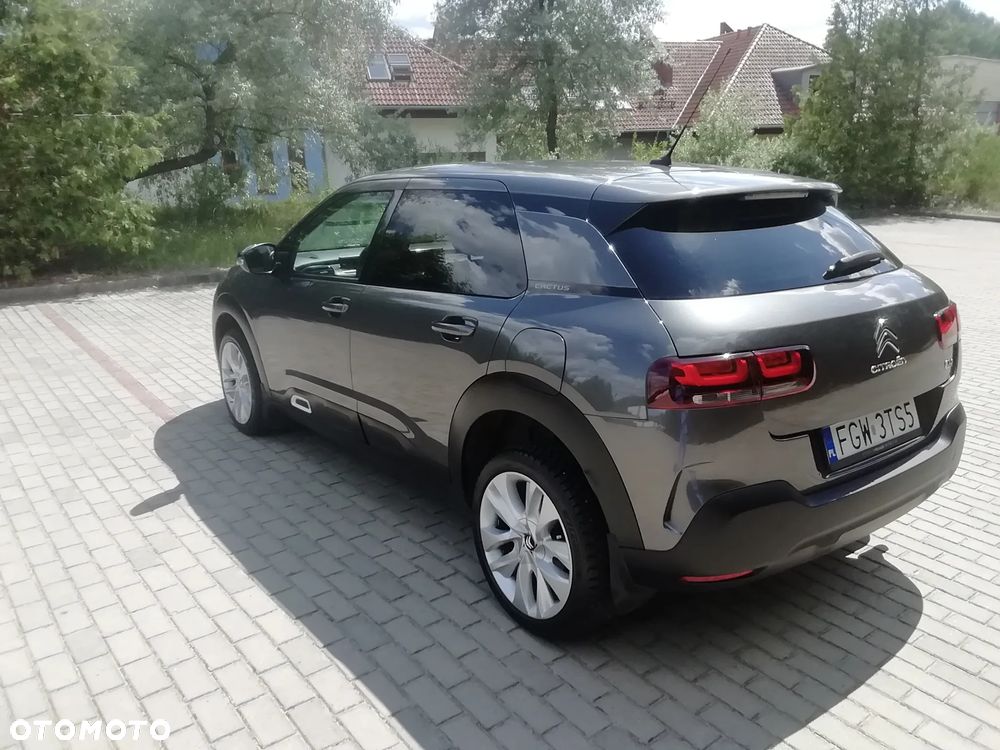 Citroën C4 Cactus 1.2 PureTech GPF Shine S&S EAT6 - 10