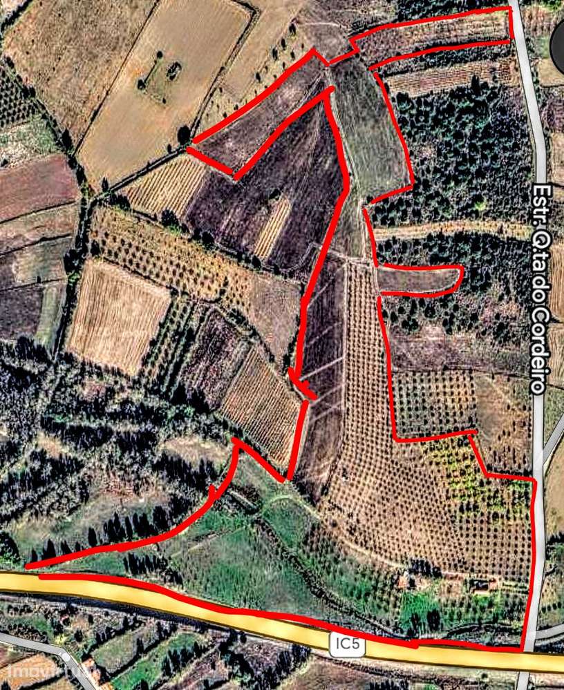 10Ha(100000m2)Terreno Agrícola DuasIgrejas água c/ maquinaria agrícola - Grande imagem: 4/10
