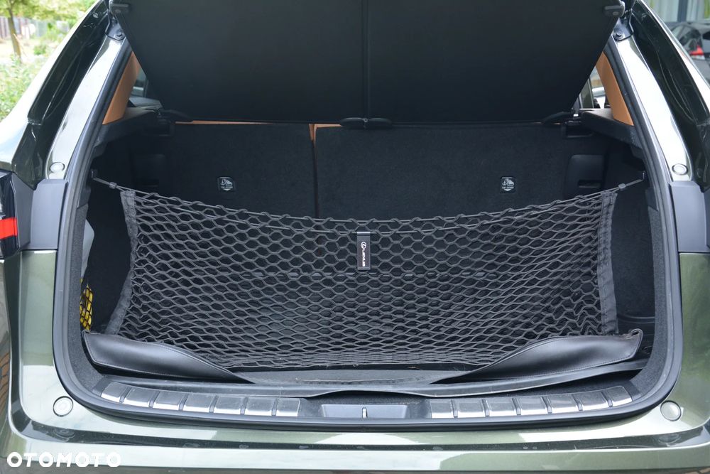 Lexus NX - 23