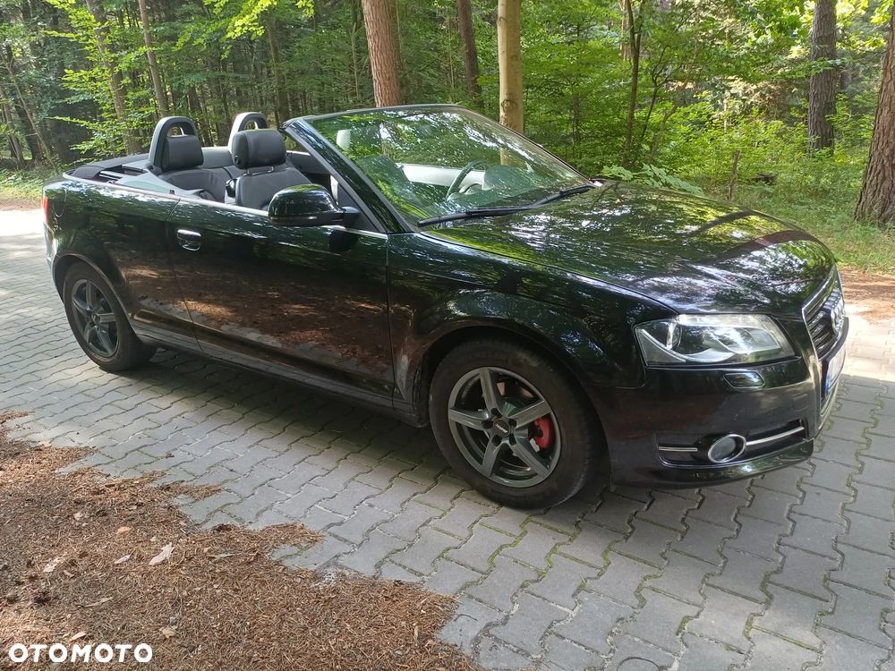 Audi A3 Cabrio 1.9 TDI DPF Ambition - 1
