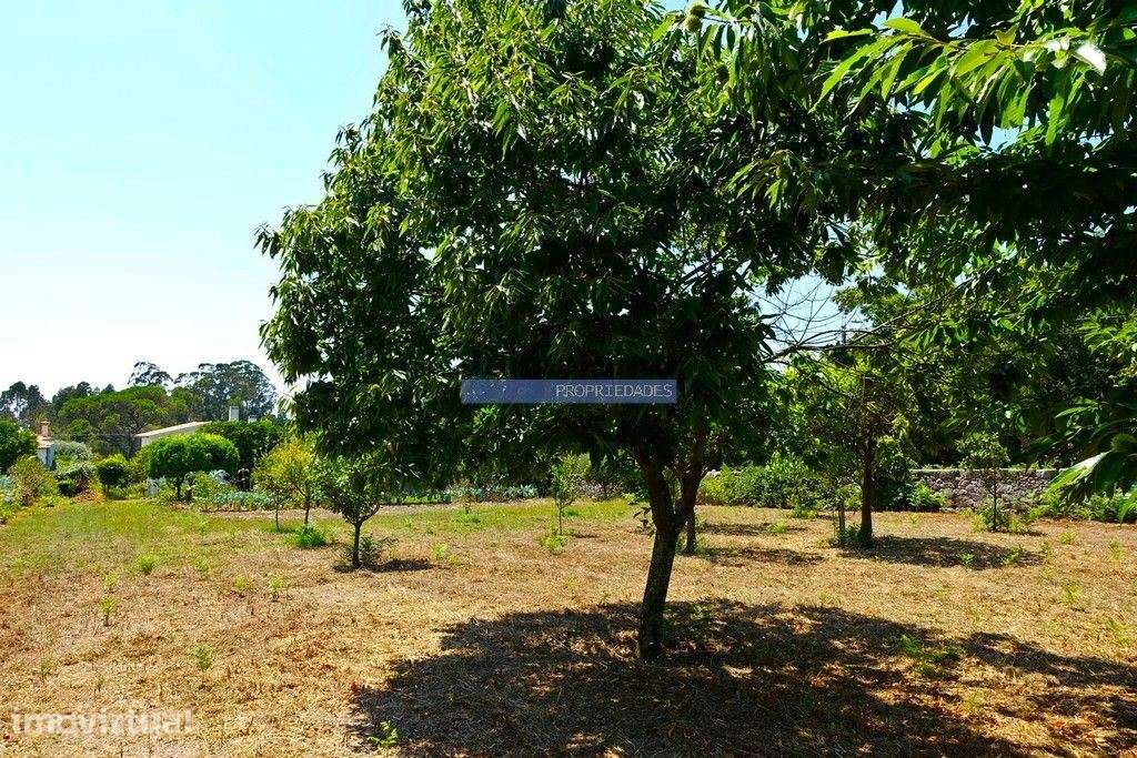 Casa, quinta mini, 1.200m2, Ponte de Lima. Portugal, Viana do Caste... - Grande imagem: 5/9