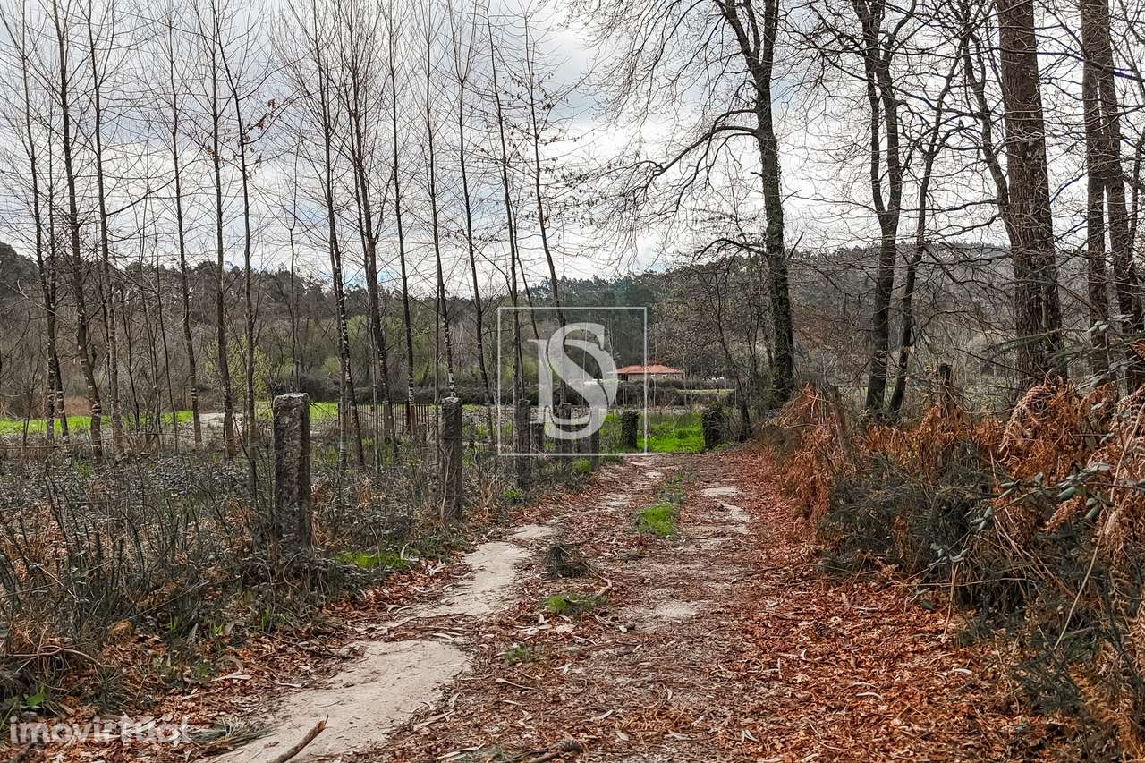 Terreno Rústico  Venda em Associação de freguesias do Vale do Neiva,Po - Grande imagem: 4/20