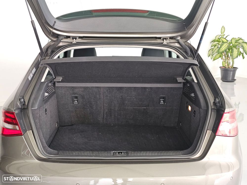 Audi A3 1.6 TDI 99g DPF - 31