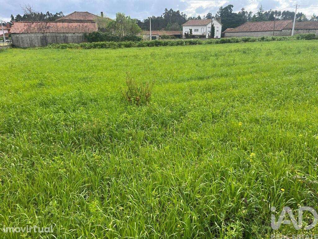Terreno Agrícola em Barroselas e Carvoeiro - Grande imagem: 5/13