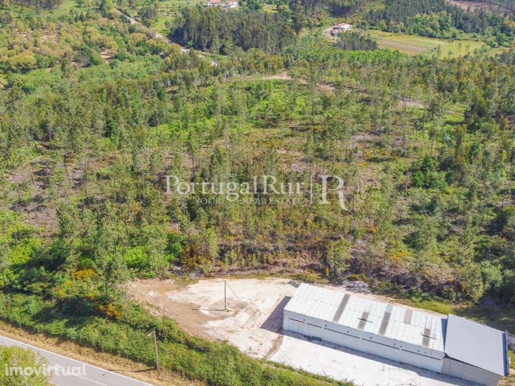 Pavilhão industrial em Cernache do Bonjardim - Grande imagem: 5/27