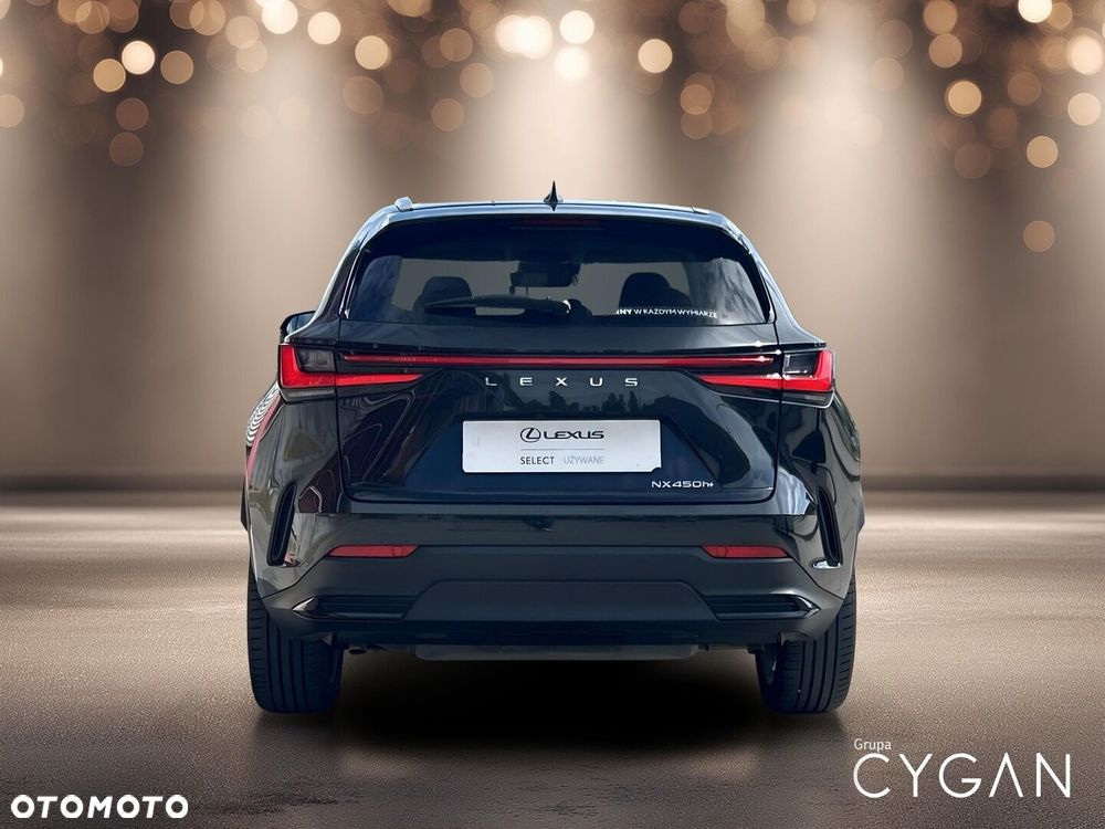 Lexus NX - 6