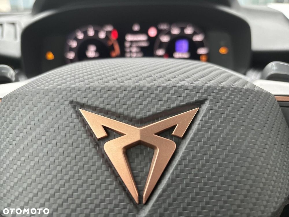 Cupra Terramar 2.0 TSI 4Drive Advantage Edition DSG - 19
