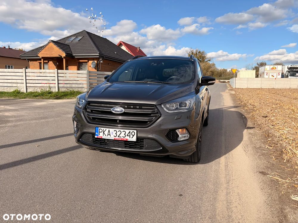Ford Kuga 2019 photo 3
