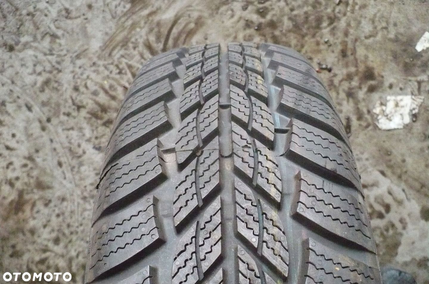 RIKEN Snowtime 175/70R14 2022 NOWA - 1