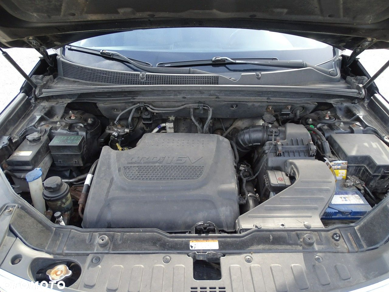 Kia Sorento - 17