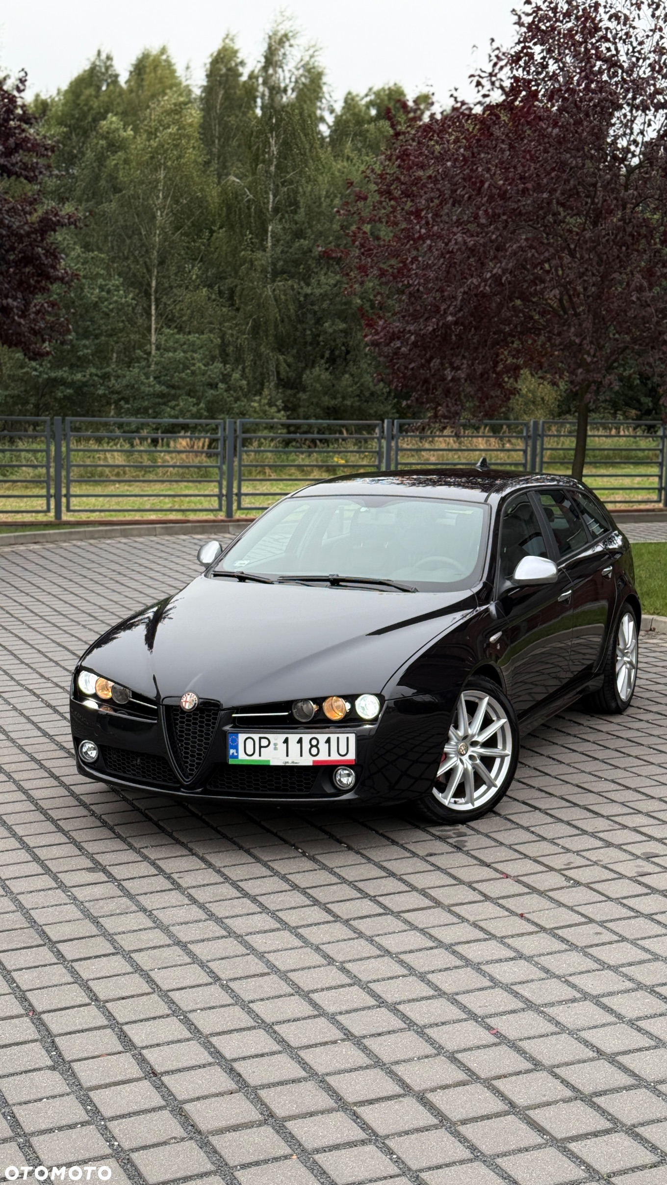 Alfa Romeo 159 1.9 JTDM 16V DPF ti - 10