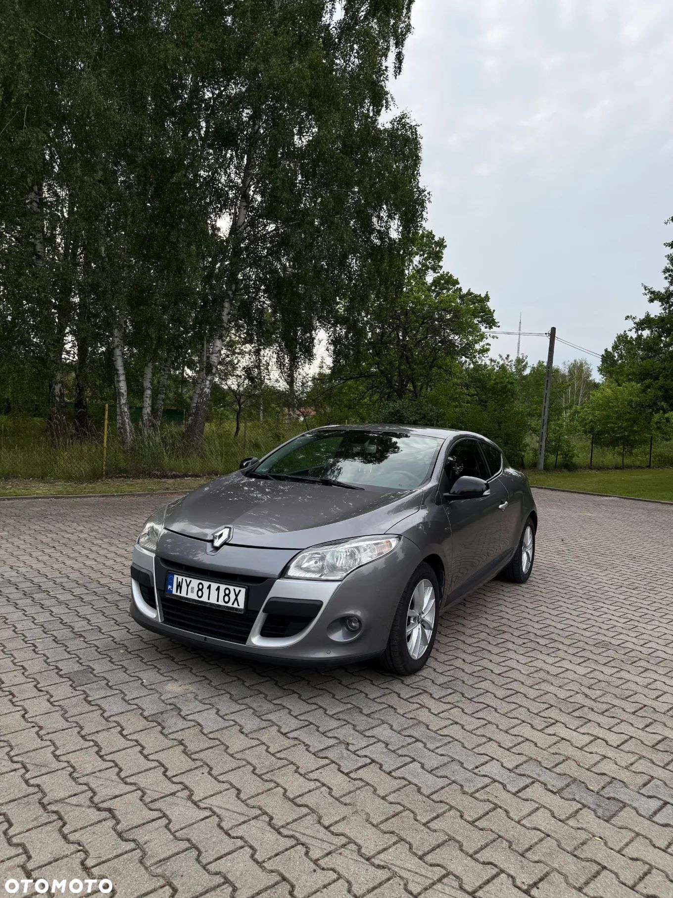 Renault Megane - 1