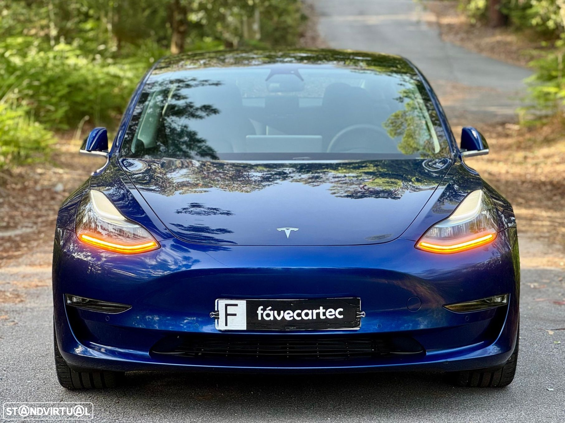 Tesla Model 3 Performance Dual Motor AWD - 2