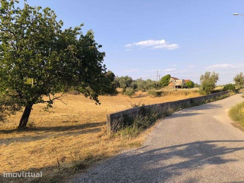 Quinta  Zona Centro 18.000 m² localização previligiada - Grande imagem: 3/8