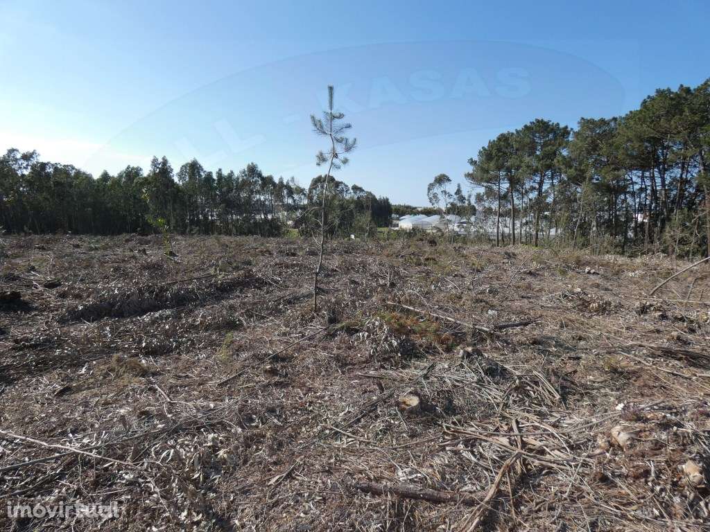 Terreno, Silveira, Cerca, Torres Vedras - Grande imagem: 3/12