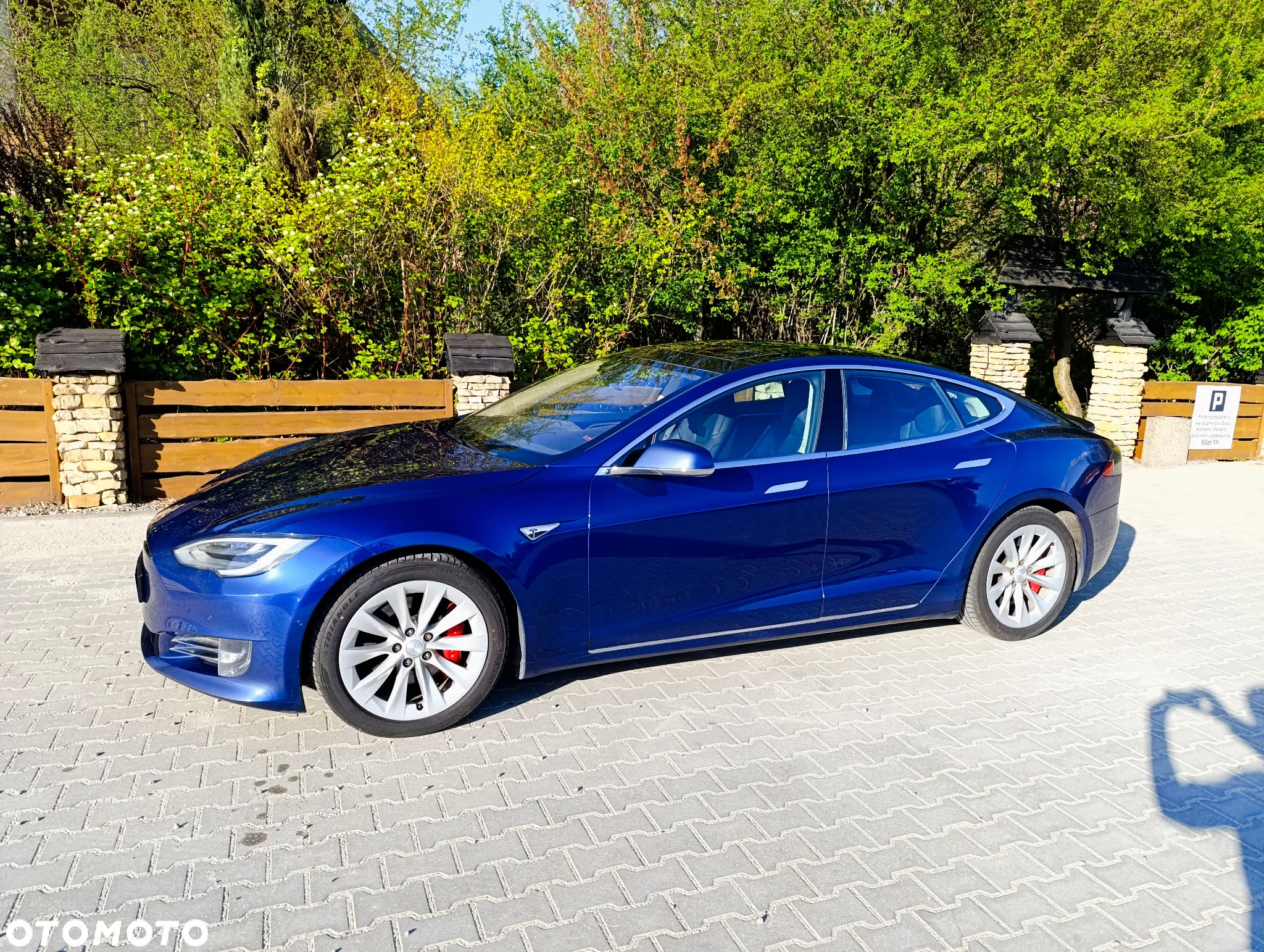 Tesla Model S Performance - 10