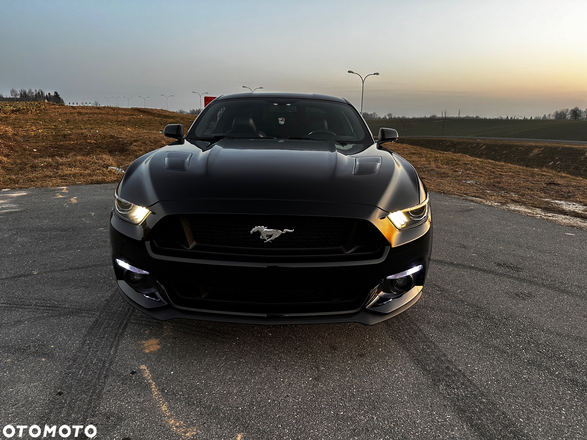 Ford Mustang 5.0 V8 Black Edition - 7