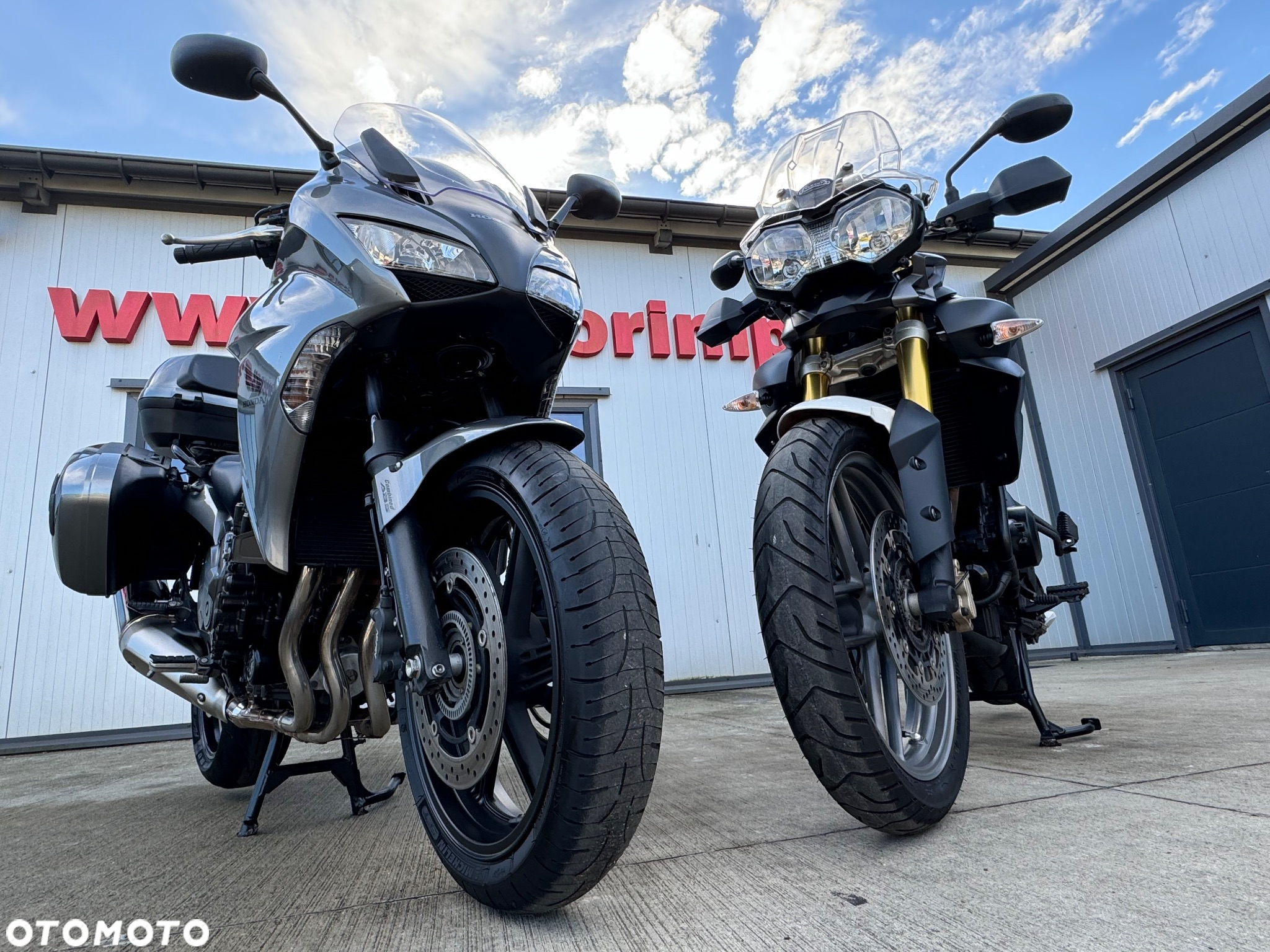 Triumph Tiger - 31