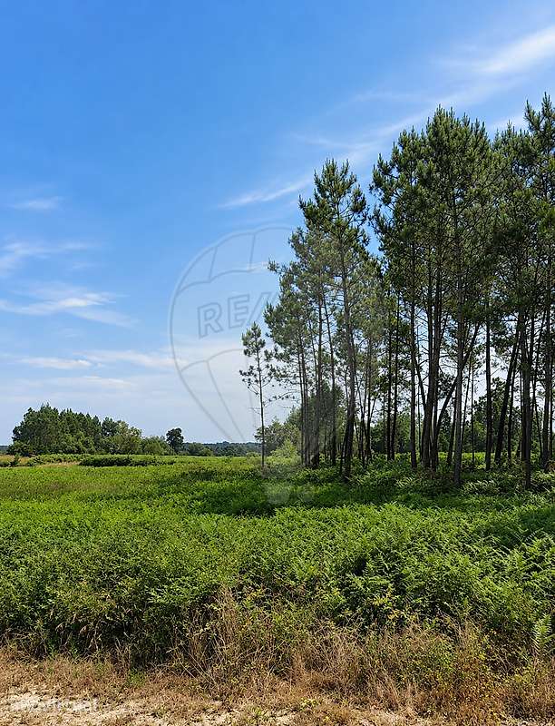 Terreno  para venda - Grande imagem: 3/8