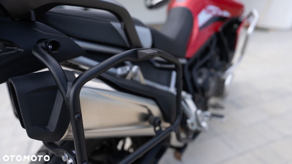 Triumph Tiger - 9