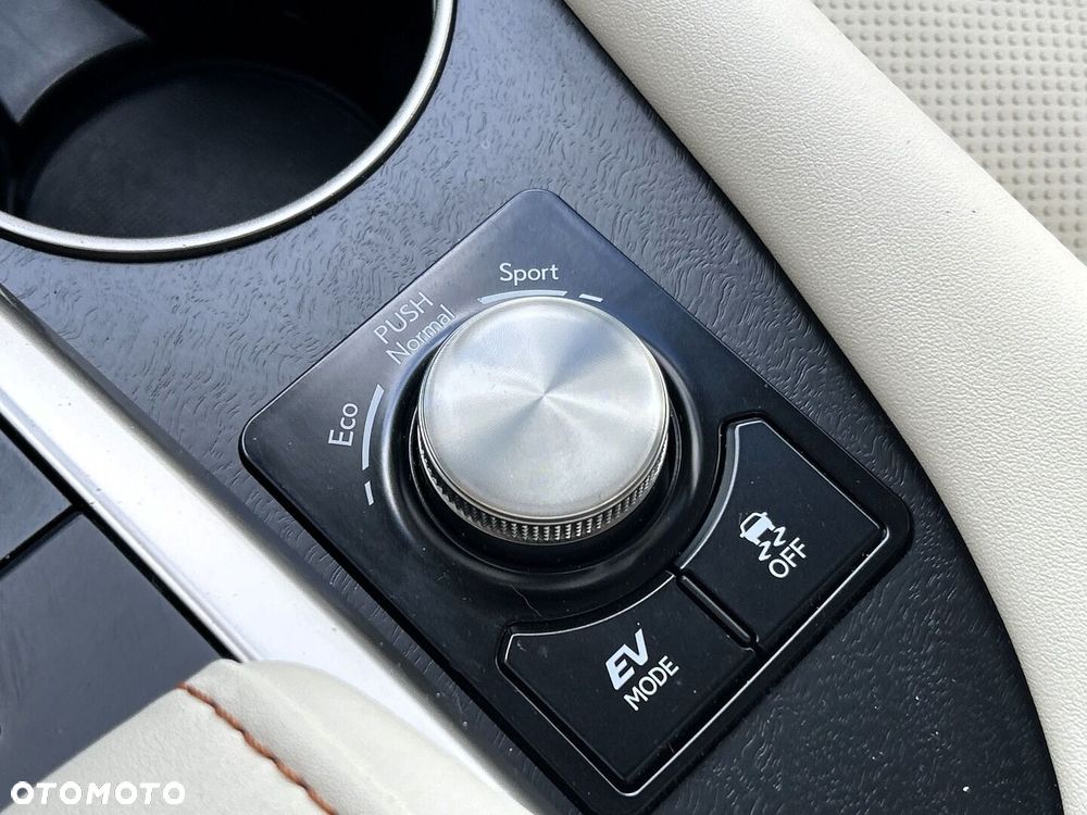 Lexus RX 450h F-Impression - 28