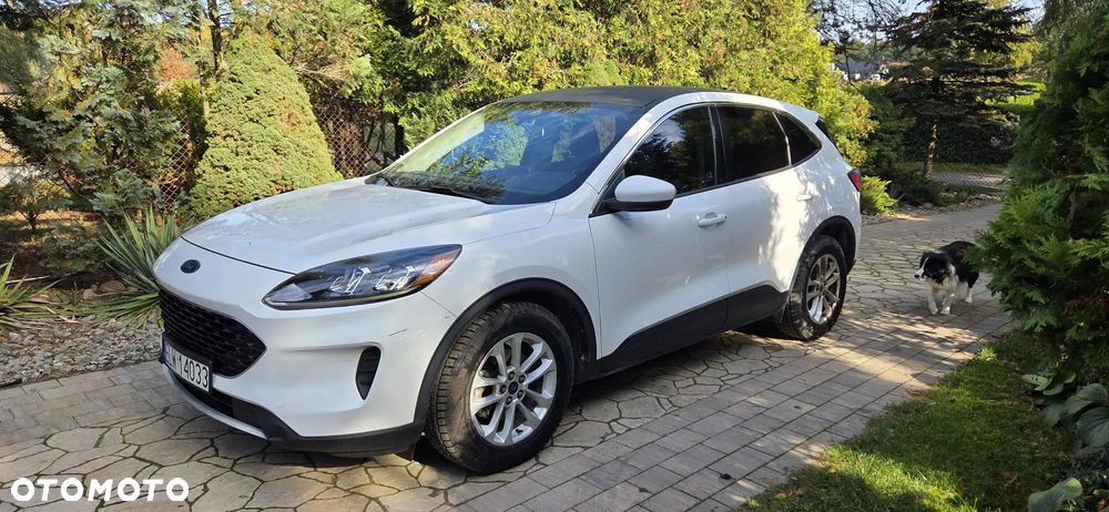 Ford Kuga 2019 photo 4