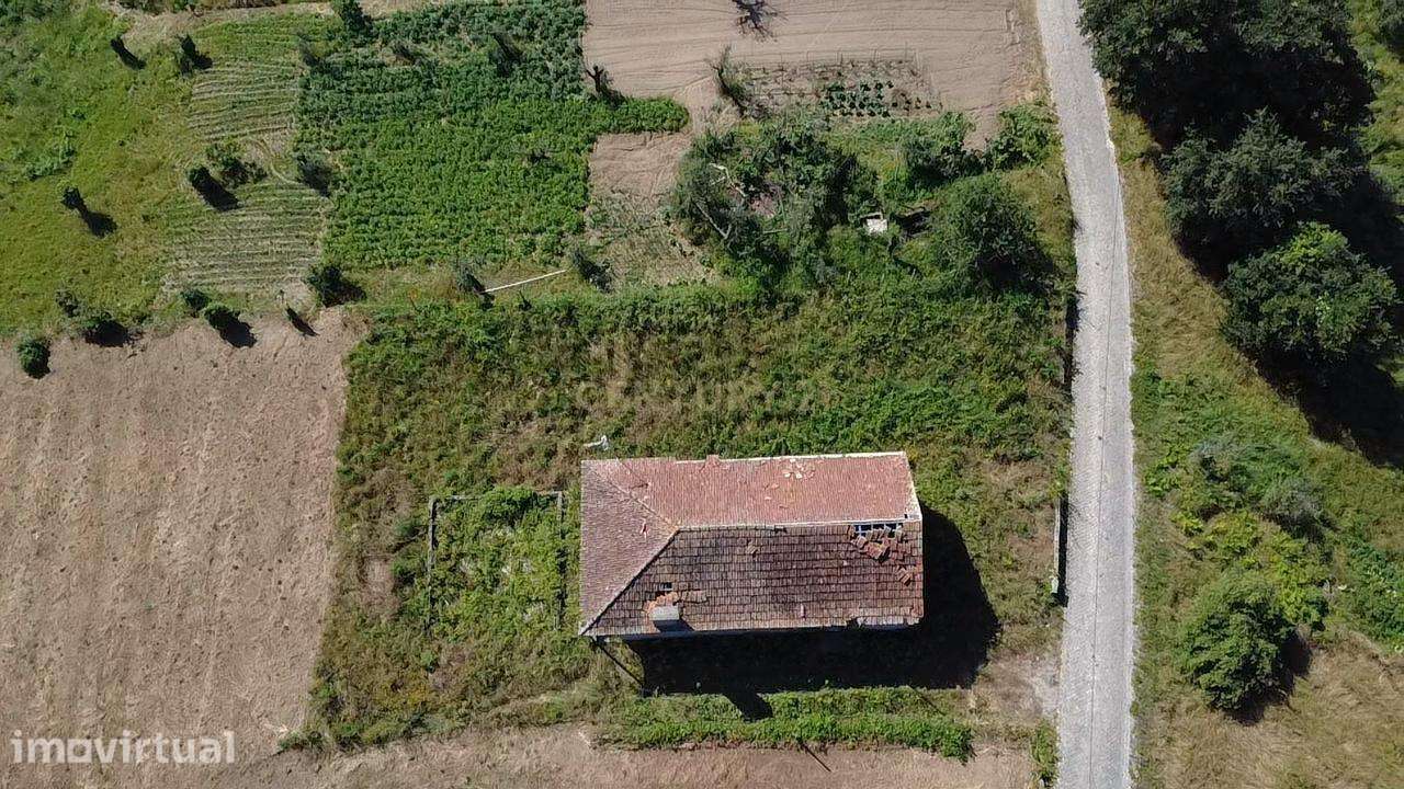 Refúgio Tranquilo no Concelho de Figueiró dos Vinhos - Grande imagem: 5/18