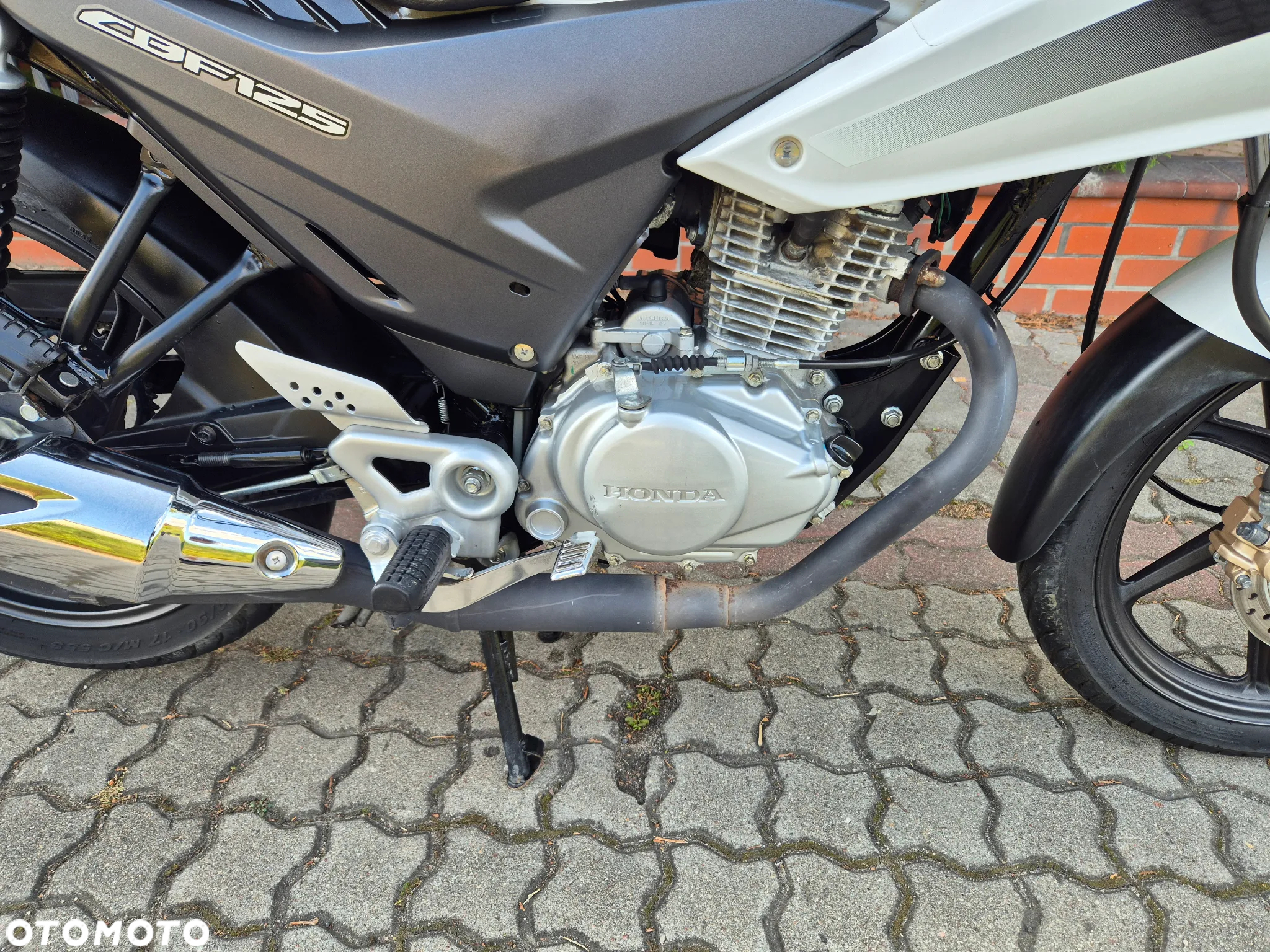 Honda CBF - 5