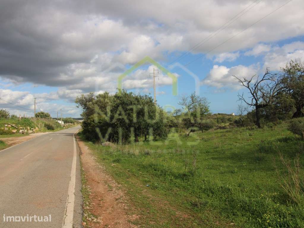 Terreno Rústico junto a Estrada em Vale de Gralhas, Estoi - Grande imagem: 2/5