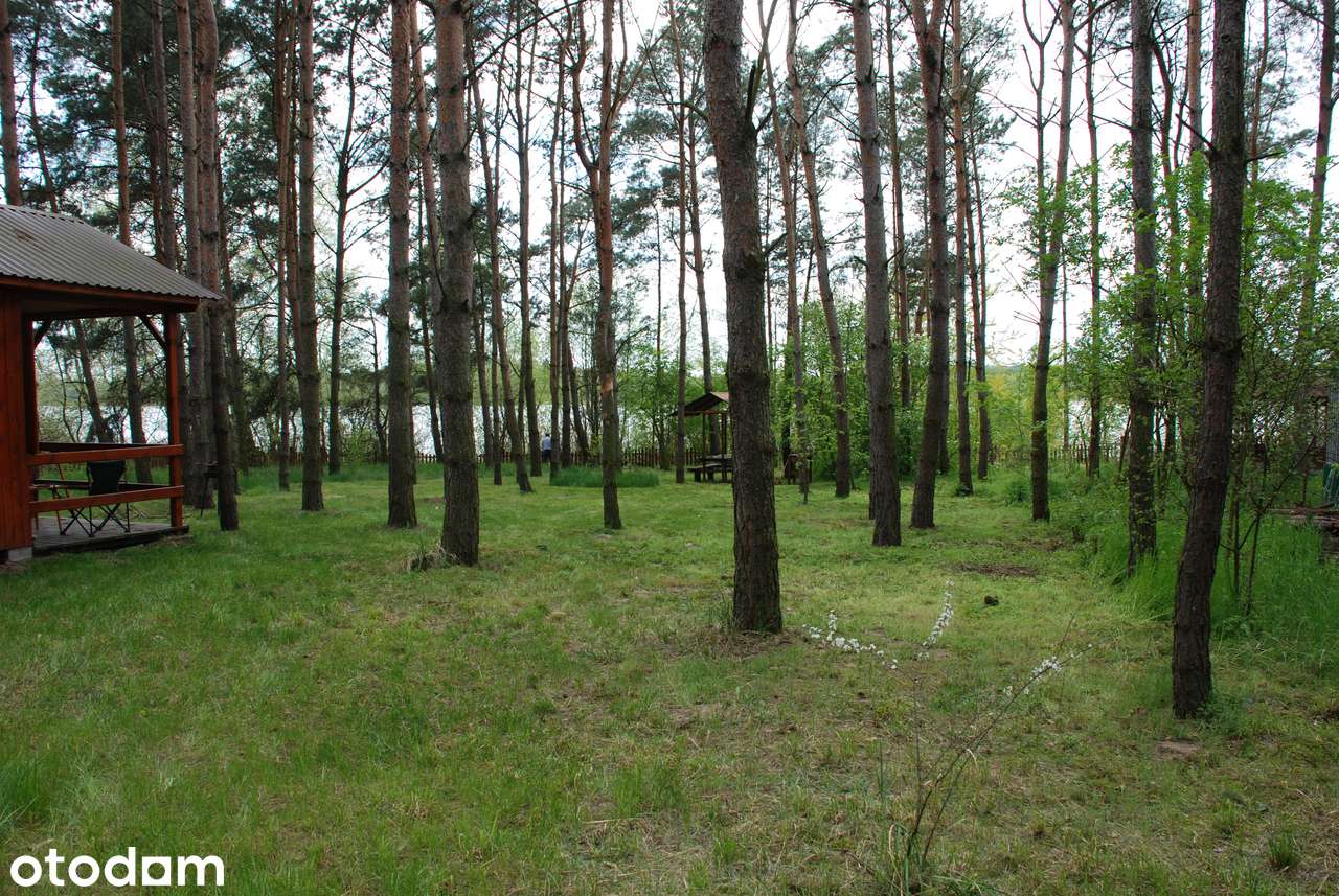 Działka rekreacyjna w miejscowości Połajewo nad jeziorem Gopło - Pełny obrazek: 2/14