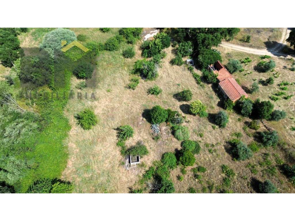 Terreno rústico com 9.840 m² à venda junto ao Freixial do Campo! - Grande imagem: 3/22