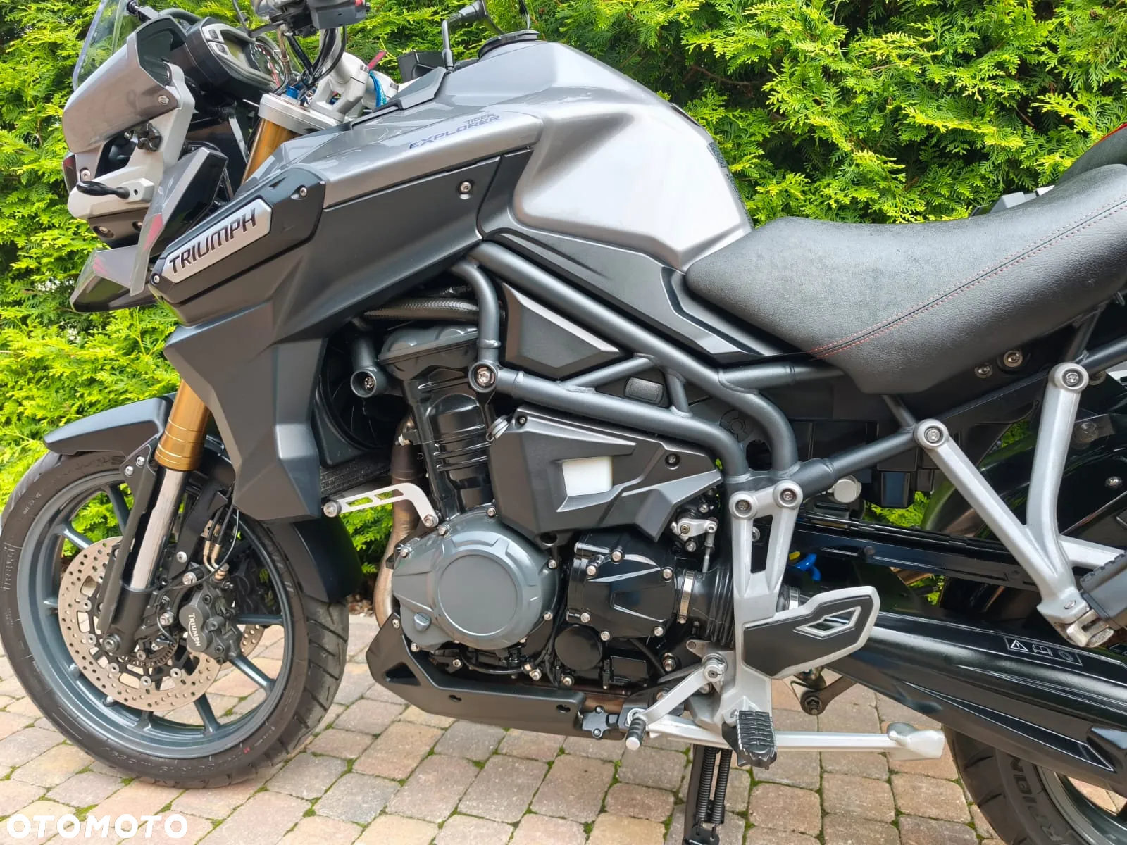 Triumph Tiger - 22