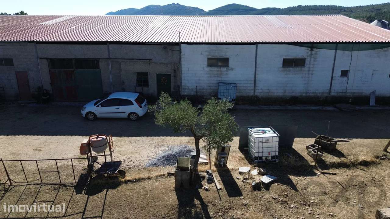 Quinta biológica de 44,8 ha com exploração agrícola ativa + potencial - Grande imagem: 3/60