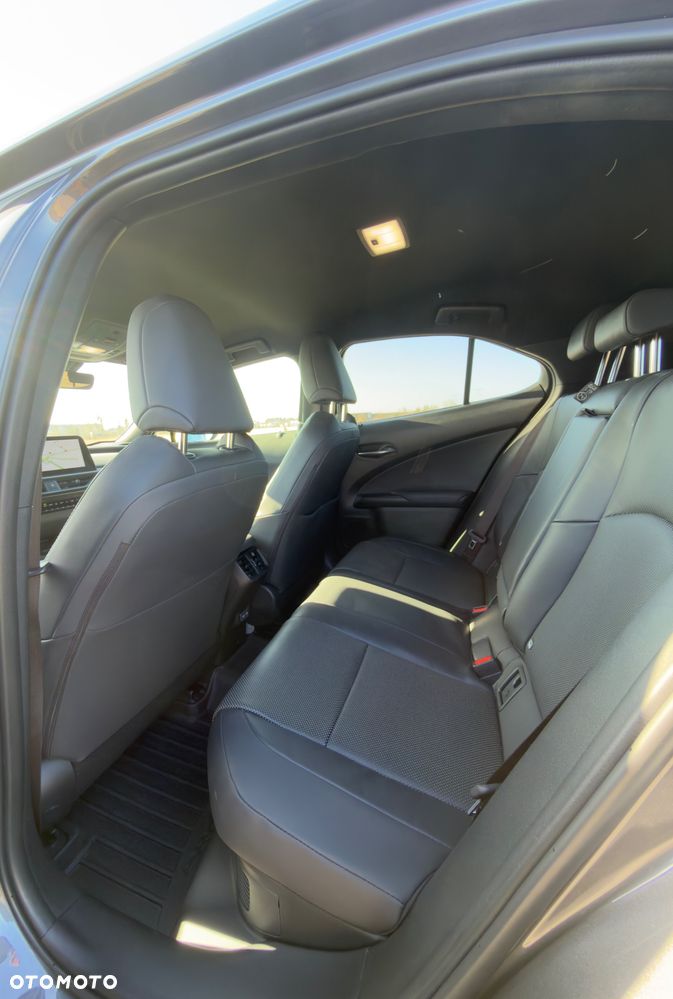 Lexus UX 300h - 10