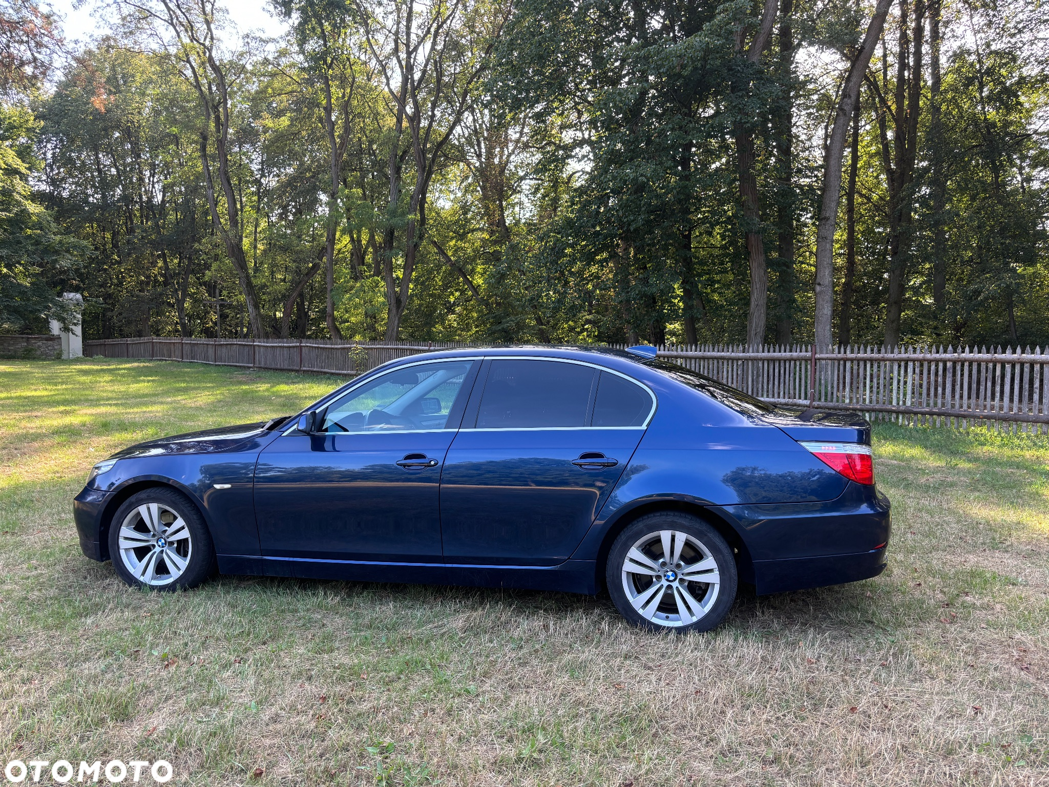 BMW Seria 5 - 5