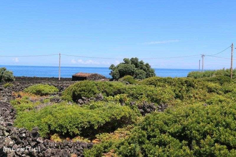 Terreno Cais Mourato - Ilha do Pico - Grande imagem: 3/4