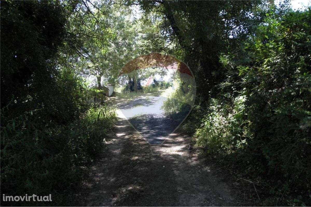 TERRENO PLANO COM A ÁREA DE 21.120 M2 - Grande imagem: 3/22