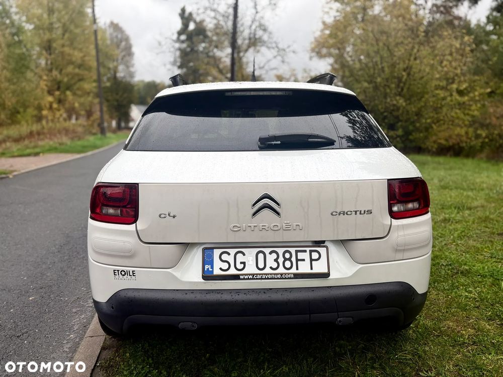 Citroën C4 Cactus PureTech 110 Stop&Start Shine - 13