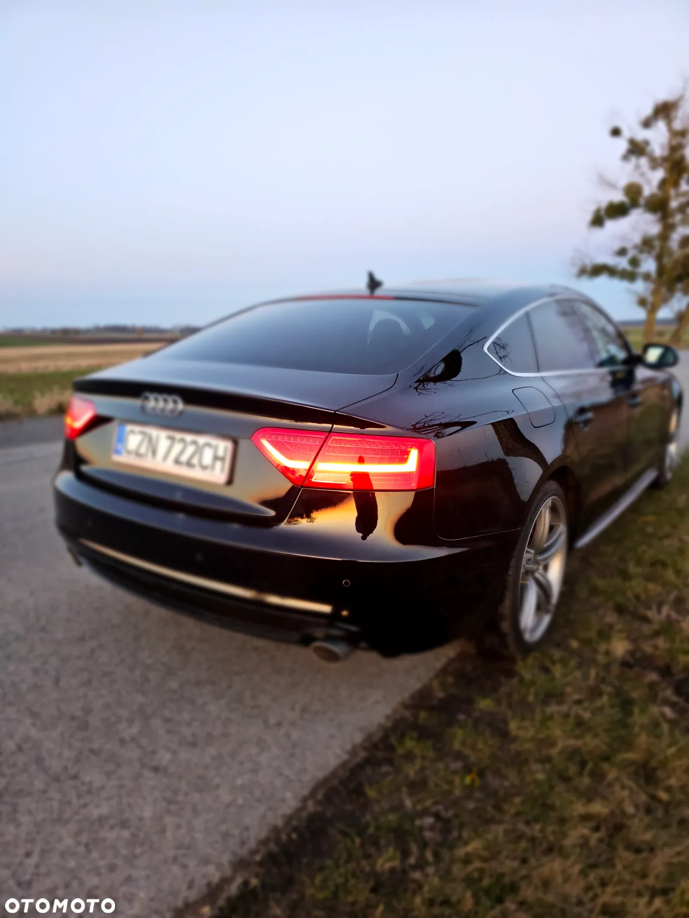 Audi A5 3.0 TDI Quattro S tronic - 3
