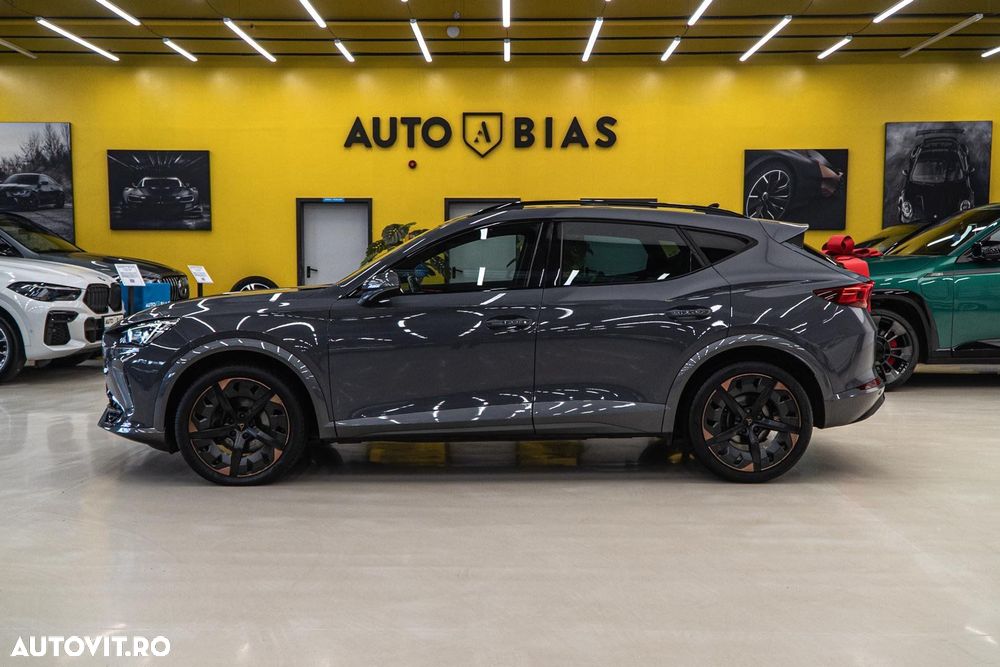 Cupra Formentor 2.0 TDI - 17