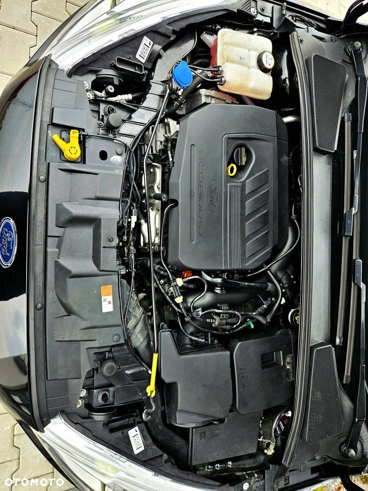Ford Focus - 20