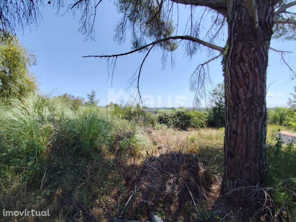 Espaço de festas com Restauração para recuperação total - Grande imagem: 2/21