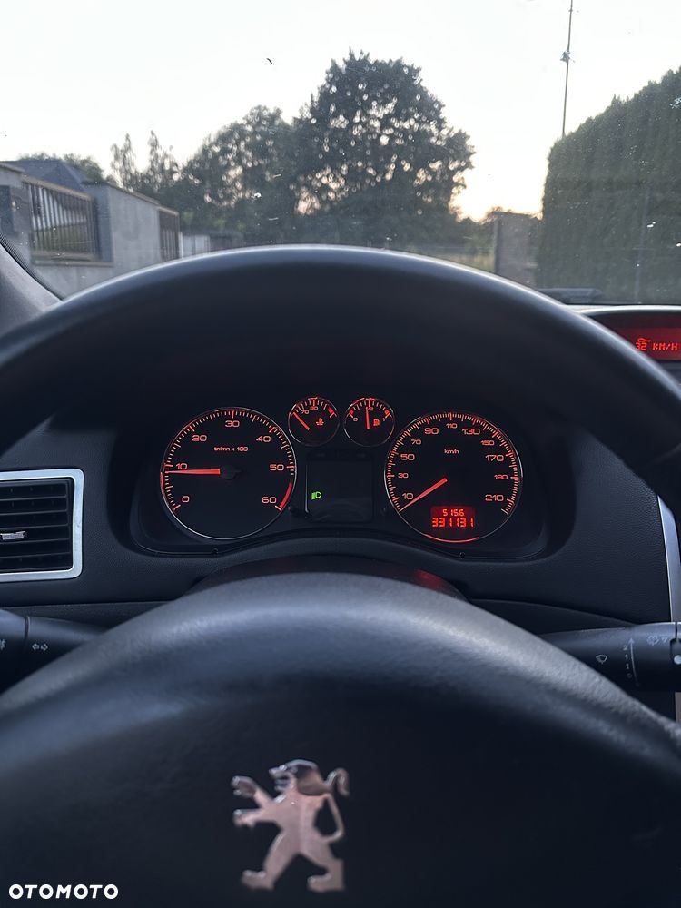 Peugeot 307 - 6