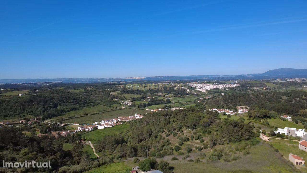 Terreno agrícola - Grande imagem: 4/15