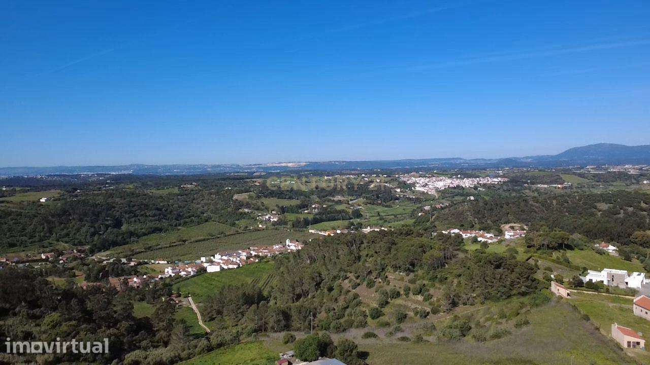 Terreno agrícola - Grande imagem: 4/15