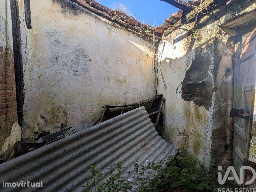 Casa / Villa T1 em Fronteira de 45 m2 - Grande imagem: 5/10