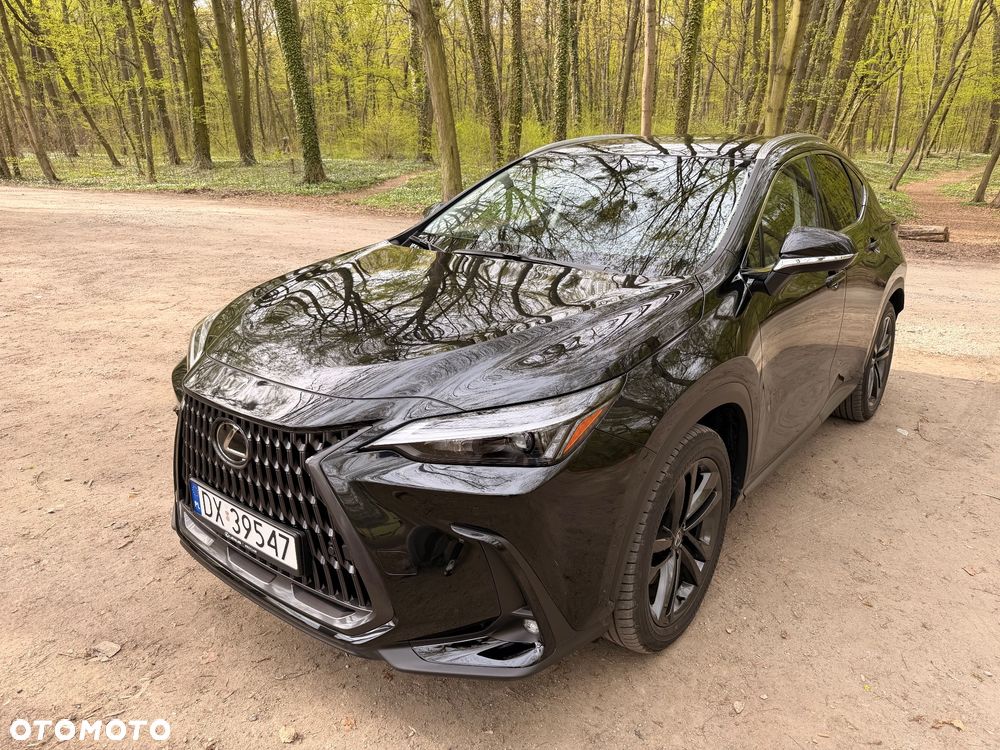 Lexus NX 450h+ Prestige AWD - 13