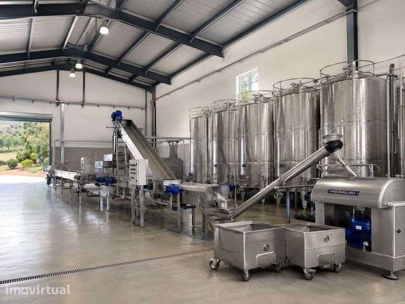 Oportunidade de investimento Projecto de Lagar no NORTE de Portugal - Grande imagem: 2/2