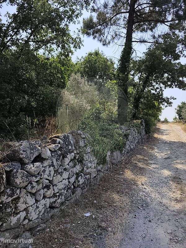Terreno  para venda - Grande imagem: 3/10